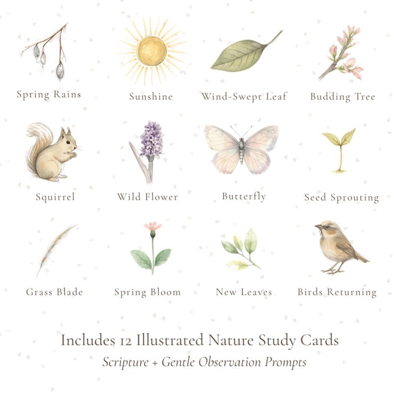 May include: A set of 12 illustrated nature study cards featuring watercolor images of spring elements like a squirrel, butterfly, and budding tree. The cards include the text "Spring Rains", "Sunshine", and "Birds Returning". The cards also include the text "Includes 12 Illustrated Nature Study Cards".