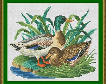 Wild Ducks Antique Birds Berlin Woolwork Counted Cross Stitch Pattern PDF