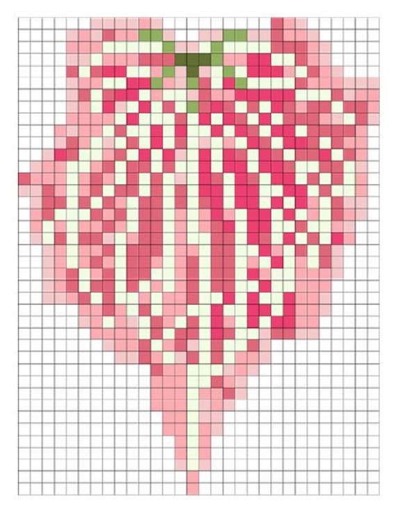 Caladium Bicolor Pink Symphony Fuse Bead Patterns Bundle Tropical