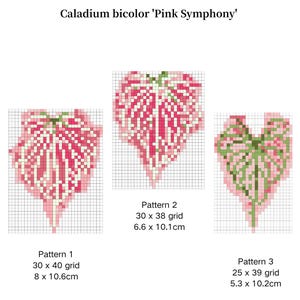 Könnte beinhalten: Drei pixelige Blattmuster mit der Bezeichnung 'Pink Symphony'. Muster 1 ist 8 x 10,6 cm, Muster 2 ist 6,6 x 10,1 cm und Muster 3 ist 5,3 x 10,2 cm groß. Die Blätter sind rosa und grün, mit karierten Hintergründen.