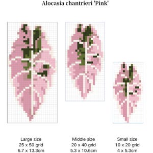 Op de afbeelding: Een witte keramische mok met een zwart handvat en de tekst "But First, Coffee" in een zwarte, handgeschreven lettertype. De mok staat op een wit oppervlak.