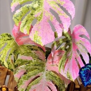 May include: A decorative plant sculpture crafted from small, pixelated beads in shades of vibrant pink and lime green. The leaves feature the characteristic fenestrations and split edges of a Monstera plant, arranged in a layered, upright display.