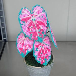 Caladium spp. 'Ballerina' fusingkralen plant sierplant Fuse Bead Patterns Bundle Digitale download Perler-kralenpatronen Hama-kralen