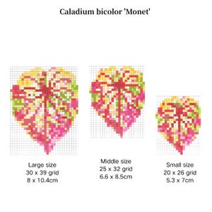 May include: Three pixelated leaf designs in pink, yellow, and green, labelled 'Caladium bicolor 'Monet''. The image includes size details: large (8 x 10.4cm), middle (6.6 x 8.5cm), and small (5.3 x 7cm). Each leaf is on a grid.