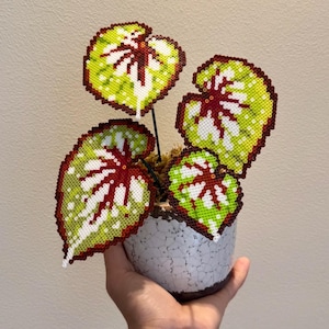May include: A handmade plant made of colorful beads. The leaves are green with white and red accents, and the plant is in a white ceramic pot. The pot has a crackle glaze finish. The plant is held in a hand.