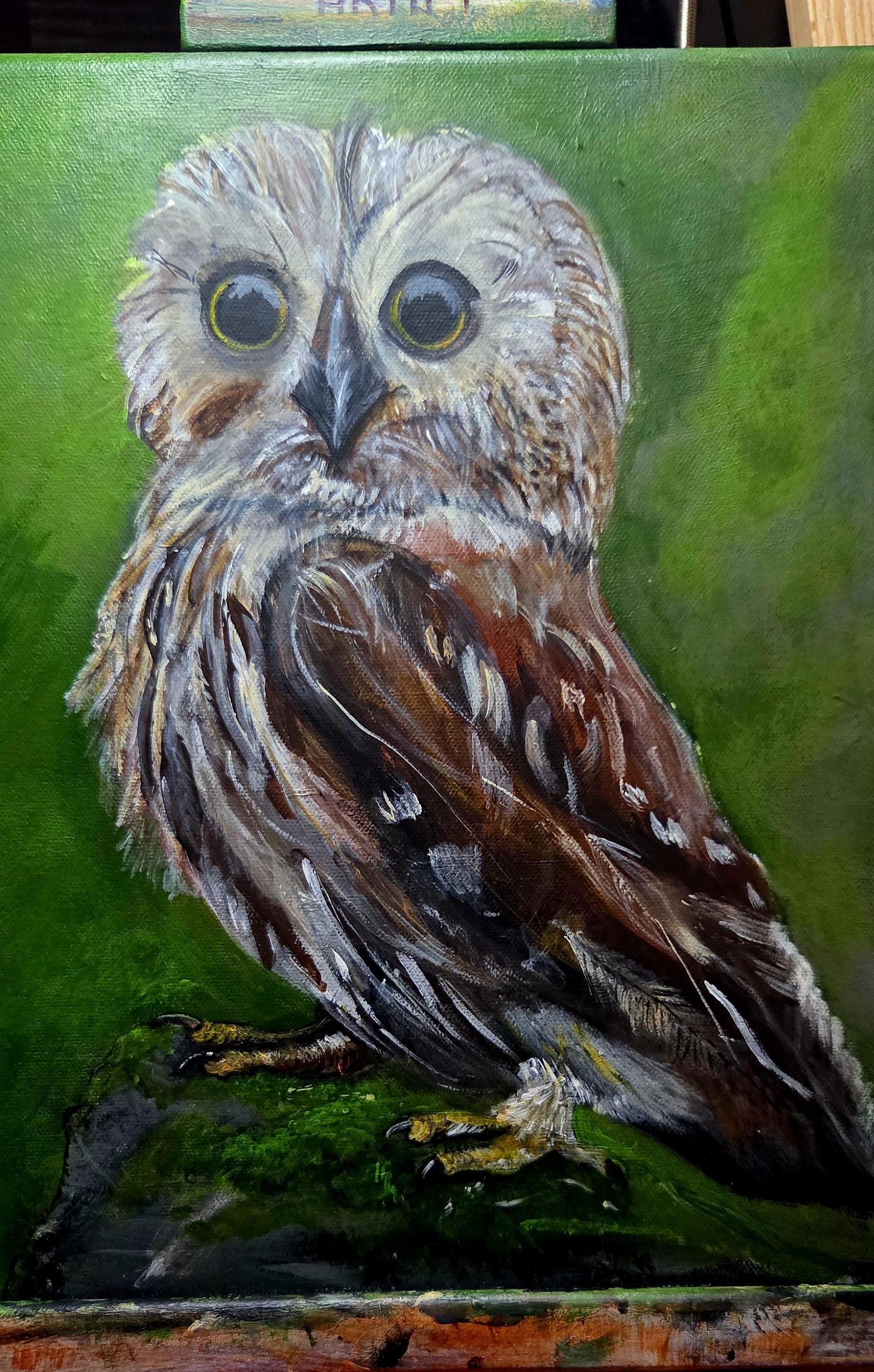 Hand-Painted Original Owl