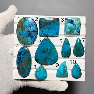Puede incluir: Una colección de diez piedras preciosas de crisocola pulidas en varias formas, incluyendo ovaladas, rectangulares, de lágrima y triangulares. Las piedras muestran una vibrante mezcla de tonos azules y turquesas con vetas marrones. Las piedras están dispuestas sobre una superficie blanca.