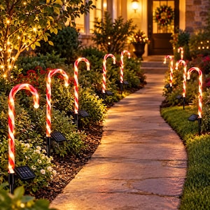 May include: A series of illuminated candy cane pathway markers lining a stone walkway. Each candy cane features red and white stripes with warm white LED lights and a small black solar panel at the base, creating a festive outdoor lighting display.
