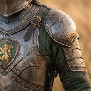 K&ouml;nnte beinhalten: Nahaufnahme einer mittelalterlichen R&uuml;stung mit einem gr&uuml;nen und goldenen L&ouml;wenwappen. Die R&uuml;stung ist silberfarben mit aufwendigen Details und Lederriemen. Der Text "ARMORIST" ist auf dem Helm zu sehen. Der Hintergrund ist ein verschwommenes Feld.