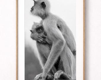 Sri Lanka the Monkeys – Black and White Photography | Fine art print