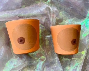 Boob Planters Set med 2 Terrakottakrukor Bruna