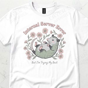 Internal Server Error Opossum Burnout Graphic Tee