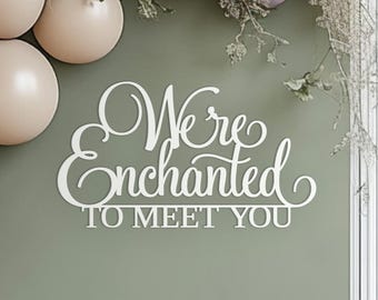 We're Enchanted to meet you Sign for Baby Shower backdrop wall decorations, 3D wooden banner decor for boy or girl photo booth centerpiece