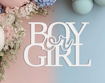 Boy or Girl Gender Reveal Wooden Sign, He or She Party Backdrop