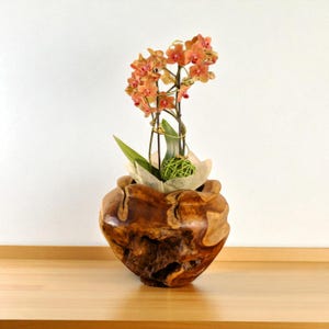 Teak Root Wood Planter · Handcrafted Wood Plant Pot · Orchid Pot · One of a Kind