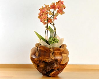Bloempot van teakhout · Bloempot van wortelhout, uniek · Orchideeënpot · Handgemaakt