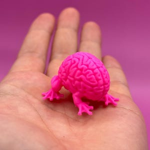 Könnte beinhalten: Eine hellrosa, 3D-gedruckte Gehirnfigur mit vier kleinen Füßen. Das Gehirn hat eine detaillierte Oberflächenstruktur und ist vor einem einfarbigen rosa Hintergrund platziert. Die Figur liegt auf einer Hand.