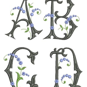May include: Four ornate, dark gray letters: A, B, C, and D. Each letter is embellished with blue berry-like accents and green leafy vines. The letters have a vintage, decorative style.