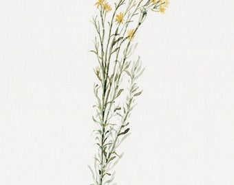 May include: Watercolor painting of a sprig of yellow wildflowers with green stems and leaves on a white background.