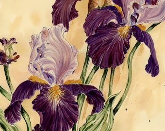 Dark Purple Irises Botanical Watercolor Print | Floral Home Decor | Flower wall art | Bearded Iris Artwork