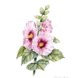 Hollyhock (Alcea) Floral Watercolor Print