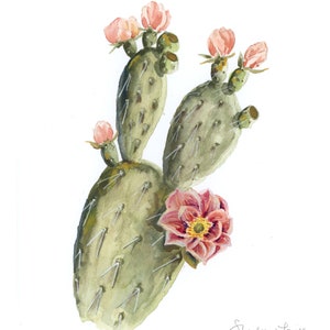 Prickly Pear Cactus with Pink Blooms Botanical Watercolor Print