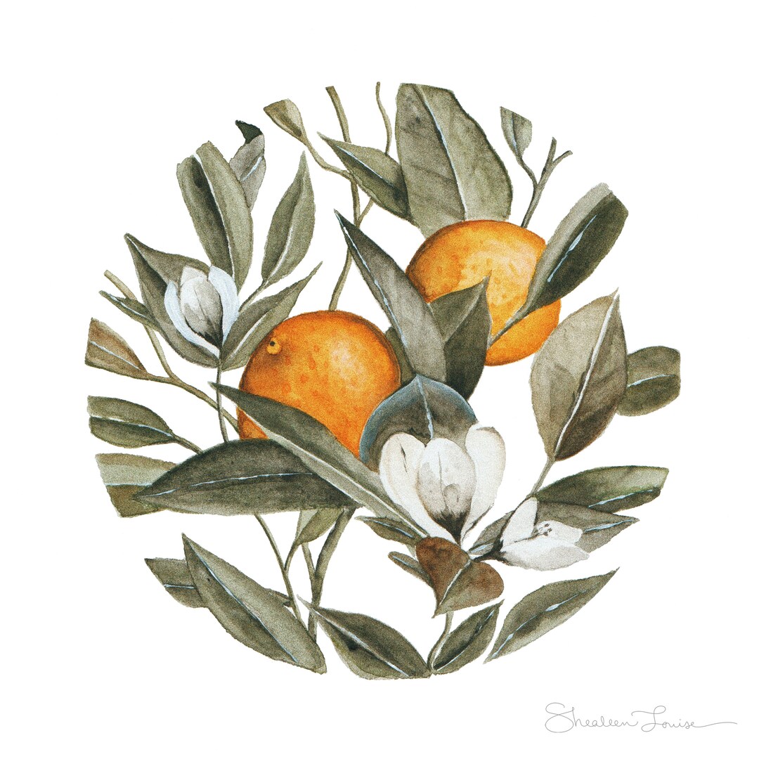 Circular Orange Blossom Print | Botanical Artwork | Citrus Wall Art ...