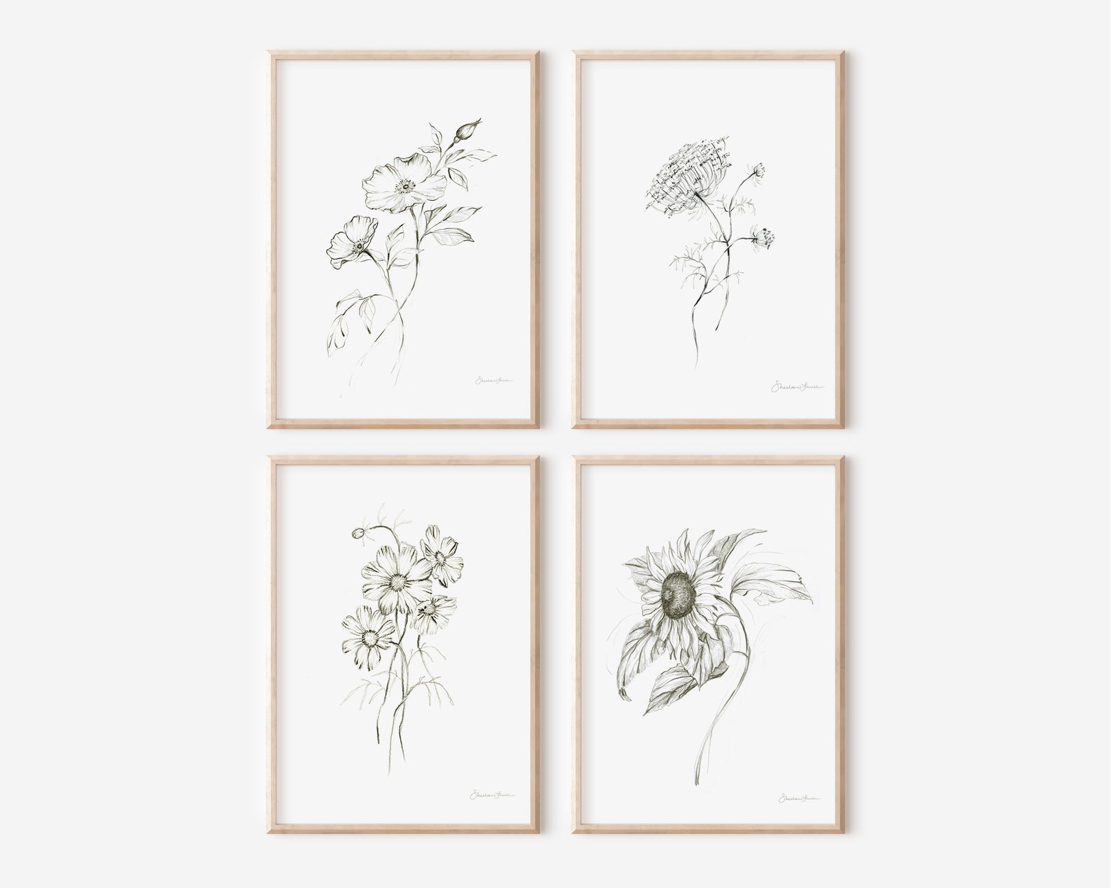 Printable Wall Art | Set of Four Floral Sketches Prints | Downloadable ...