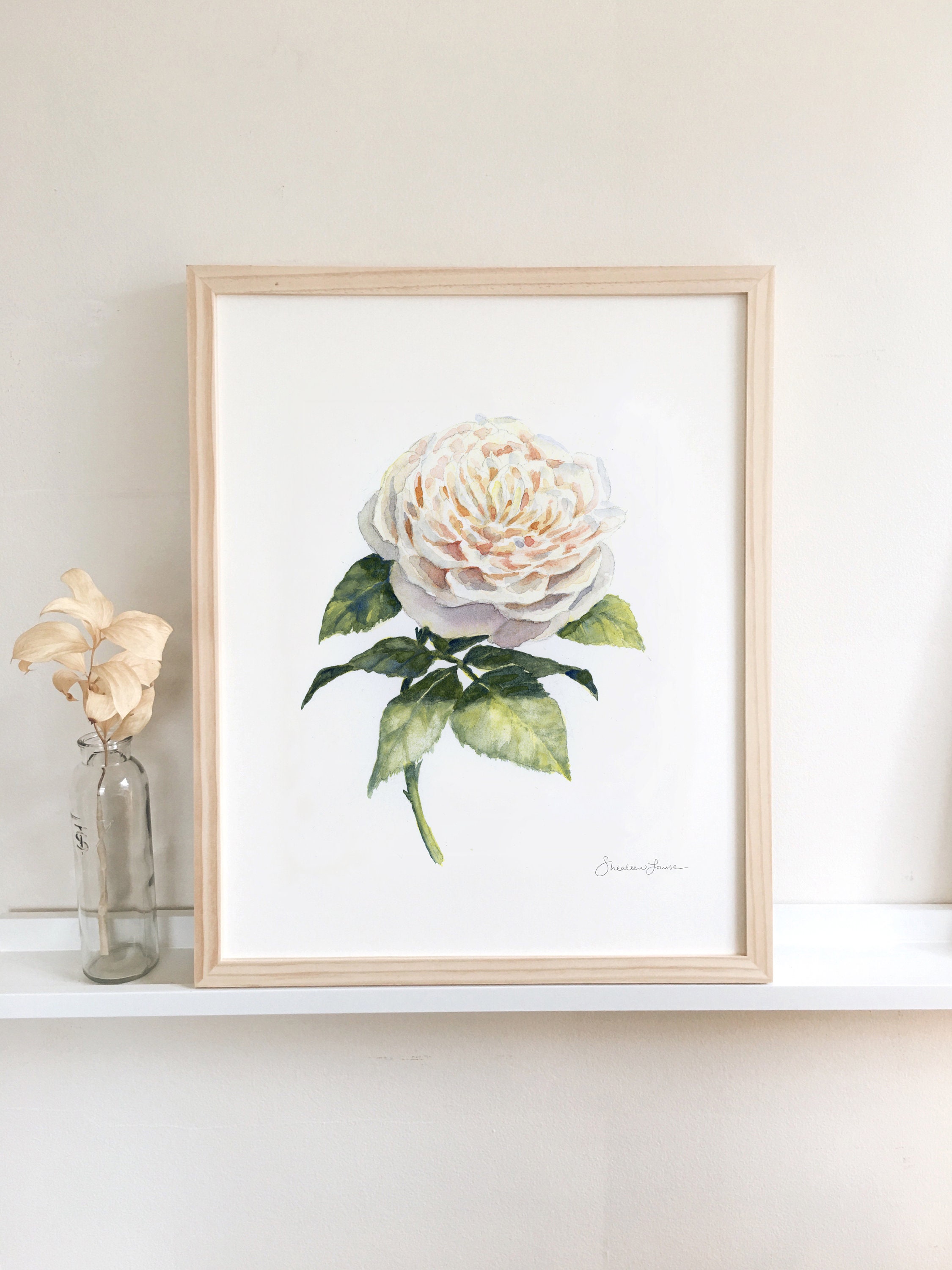White Garden Rose Floral Watercolor Print - Etsy