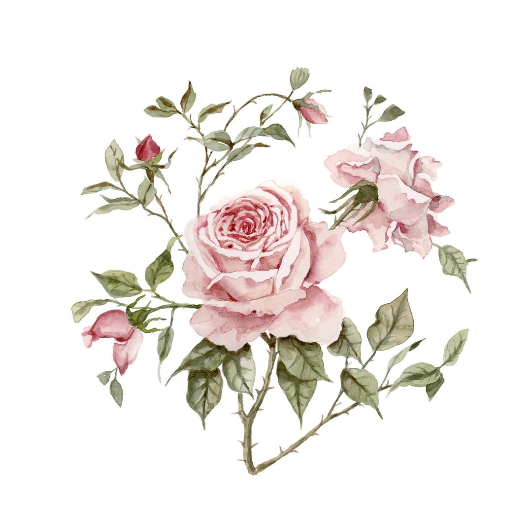 Circular Pink Roses Botanical Art Print Shipped | Floral Home Decor ...