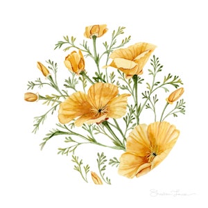 California Poppy | Botanical Watercolor Art Print | Poppies Floral Artwork | Flower Home Decor | Wall Art