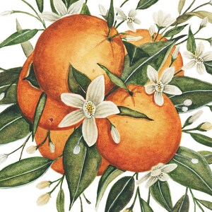 close up details of orange blossom artwork