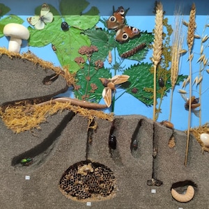 May include: A detailed diorama depicting a natural habitat, featuring insects like butterflies and caterpillars, alongside plants, a mushroom, and a honeycomb. The scene is set against a blue background, offering an educational display.