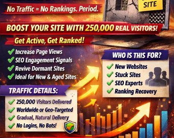 250,000 Real Website Visitors | Traffic Boost & SEO Exposure