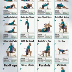 May include: A poster titled "16 Sciatica Pain Relief Exercises" shows illustrated instructions for various exercises. Each exercise is demonstrated with a person in a teal shirt. The exercises include Pelvic Tilts, Knee-to-Chest Stretch, Cat-Cow Movement, and Child's Pose.