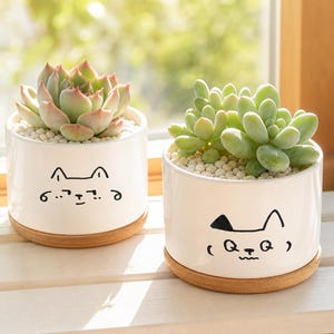 Cute Cat Face Ceramic Plant Pot, Custom Line-art Cats Planter, Minimalist Playful Cat Succulent Pot, Cat Lover Pot, Gift for Flower Lover