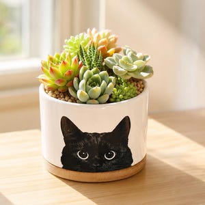 May include: A white cylindrical ceramic planter featuring a black cat face illustration on the front. The planter is filled with a variety of green and light orange succulents nestled in small tan pebbles, resting on a circular wooden base.