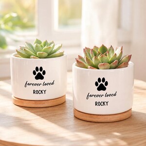 Pode incluir: Dois vasos cilíndricos de cerâmica branca, cada um contendo uma suculenta verde. Os vasos apresentam um gráfico de pata preta, o texto "forever loved" em cursivo e o nome "ROCKY" em letras de forma sobre uma base redonda de bambu.