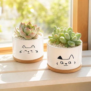 Cat Face Plant - Etsy