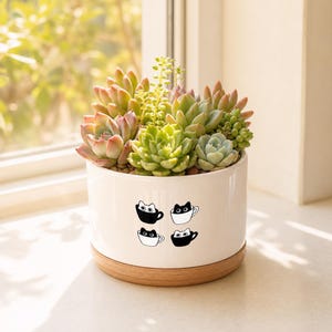 Pode incluir: Um vaso de cerâmica branco com base de madeira, preenchido com suculentas. O vaso apresenta desenhos de rostos de gato em preto e branco. As suculentas exibem tons de verde, rosa e vermelho, criando uma exibição vibrante.