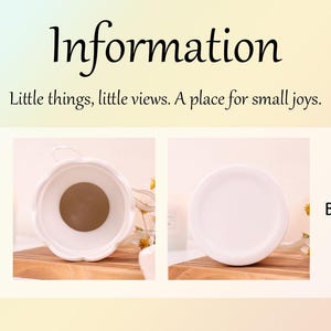 May include: White ceramic container with a scalloped rim, shown from the top and bottom. The top view reveals a brown interior. The image includes the text "Information" and "Little things, little views. A place for small joys."