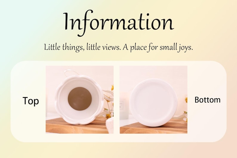 May include: White ceramic container with a scalloped rim, shown from the top and bottom. The top view reveals a brown interior. The image includes the text "Information" and "Little things, little views. A place for small joys."
