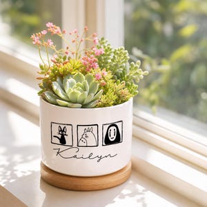 May include: A white ceramic plant pot filled with succulents and pink flowers. The pot has black illustrations of a cat, a Totoro-like character, and a spirit from Spirited Away, with the name "Kailyn" below.