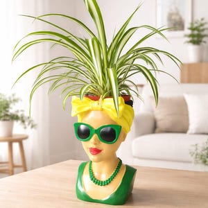 Può includere: Vaso decorativo a forma di testa di donna, con occhiali da sole verdi, foulard giallo e collana verde. Il vaso è riempito con una pianta verde e bianca. Il vaso è su un tavolo di legno.