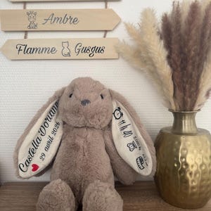 Peut inclure: Une peluche lapin taupe avec de longues oreilles, personnalisée avec du texte et un cœur sur une oreille. L'autre oreille affiche une horloge, le poids et la taille. Des panneaux de noms en bois avec des noms et des illustrations d'animaux sont en arrière-plan.