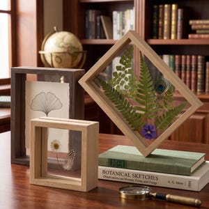 May include: Three wooden floating frames containing pressed botanical specimens. One frame holds a ginkgo leaf drawing, another a daisy and feather, and the third, tilted, displays ferns, a peacock feather, and a purple flower.