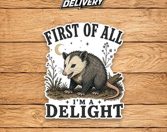 First of All I'm a Delight Shirt, Funny Raccoon Shirt, Sarcastic T Shirt, Trash Panda Tee, Funny Animal Shirt, Introvert Gift