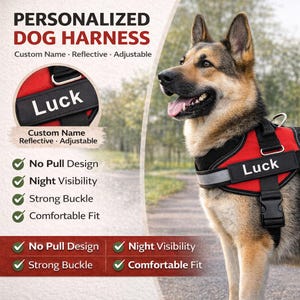 May include: A red and black personalized dog harness with the name "Luck" displayed. The harness features reflective elements, a strong buckle, and is adjustable. Text on the image reads "No Pull Design", "Night Visibility", "Strong Buckle", and "Comfortable Fit".