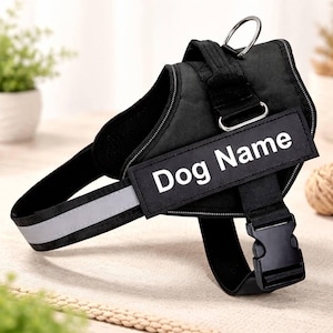 May include: Black dog harness with a reflective strip and a metal D-ring for leash attachment. The harness features a buckle closure and a patch that reads "Dog Name" in white letters.