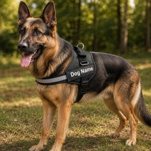 May include: A black dog harness with a reflective strip and a rectangular patch featuring the white text Dog Name. The harness includes a metal D-ring attachment point, adjustable nylon straps, and a plastic buckle, worn by a German Shepherd.